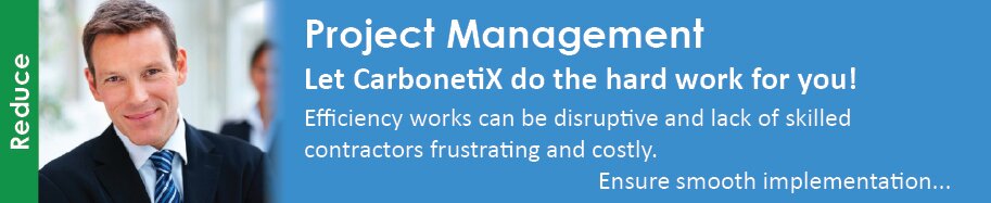 CarbonetiX  Energy Efficiency Project Management